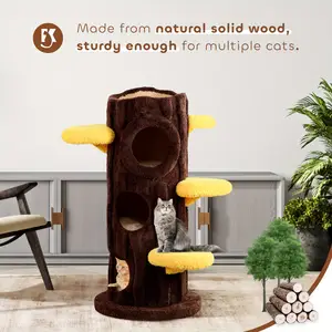 Pet Furniture