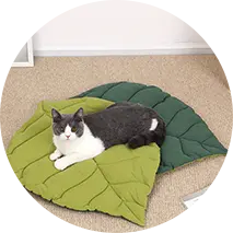 Pet Beds & Bedding