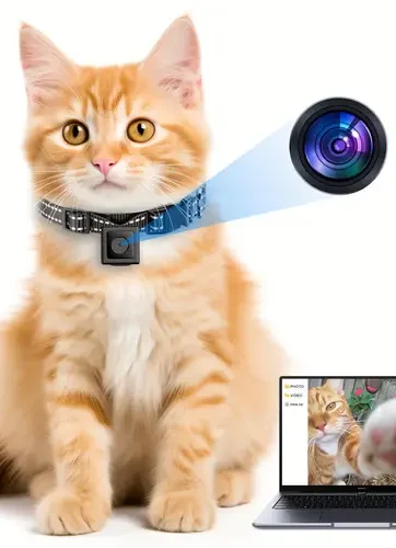 [Cordless Cat Camera Collar] Cordless XS-Size Cat Camera Collar - No APP No WiFi Needed with Video Record - Outdoor Pet Collar Camera for Cats/Small Dogs