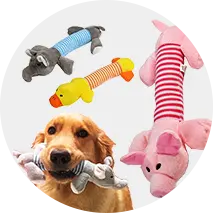 Pet Toys